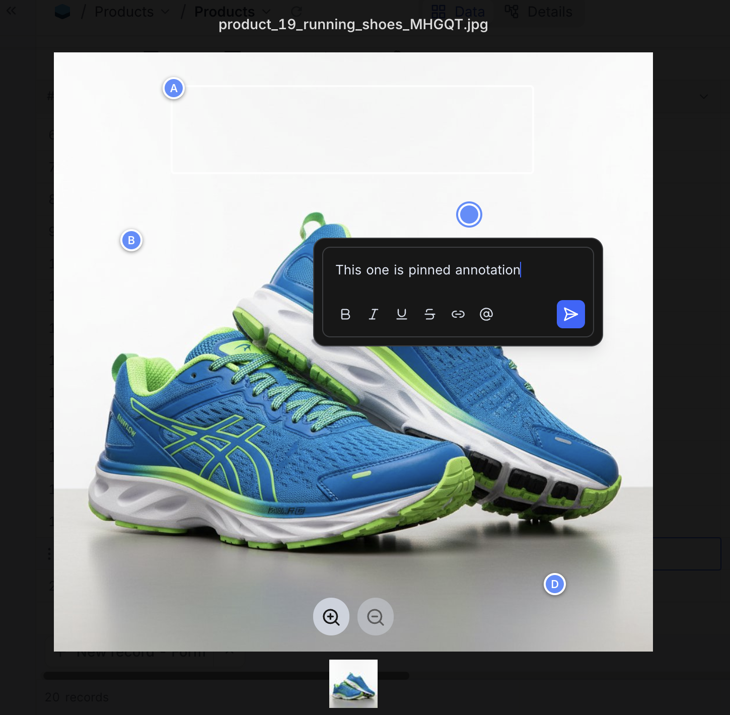 Dropping a pin annotation on an image